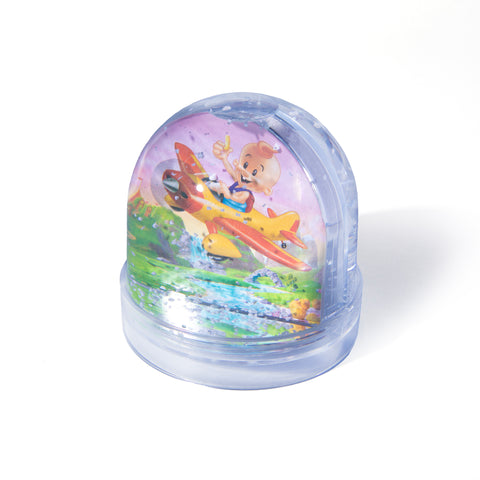 כדור שלג עם תמונה